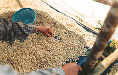 El café colombiano se mantiene firme en los mercados internacionales con un precio de cierre de 189,45 USCent/Lb